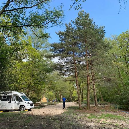 Nightjar Cabin At Cloudshill Glade Wareham Exterior foto