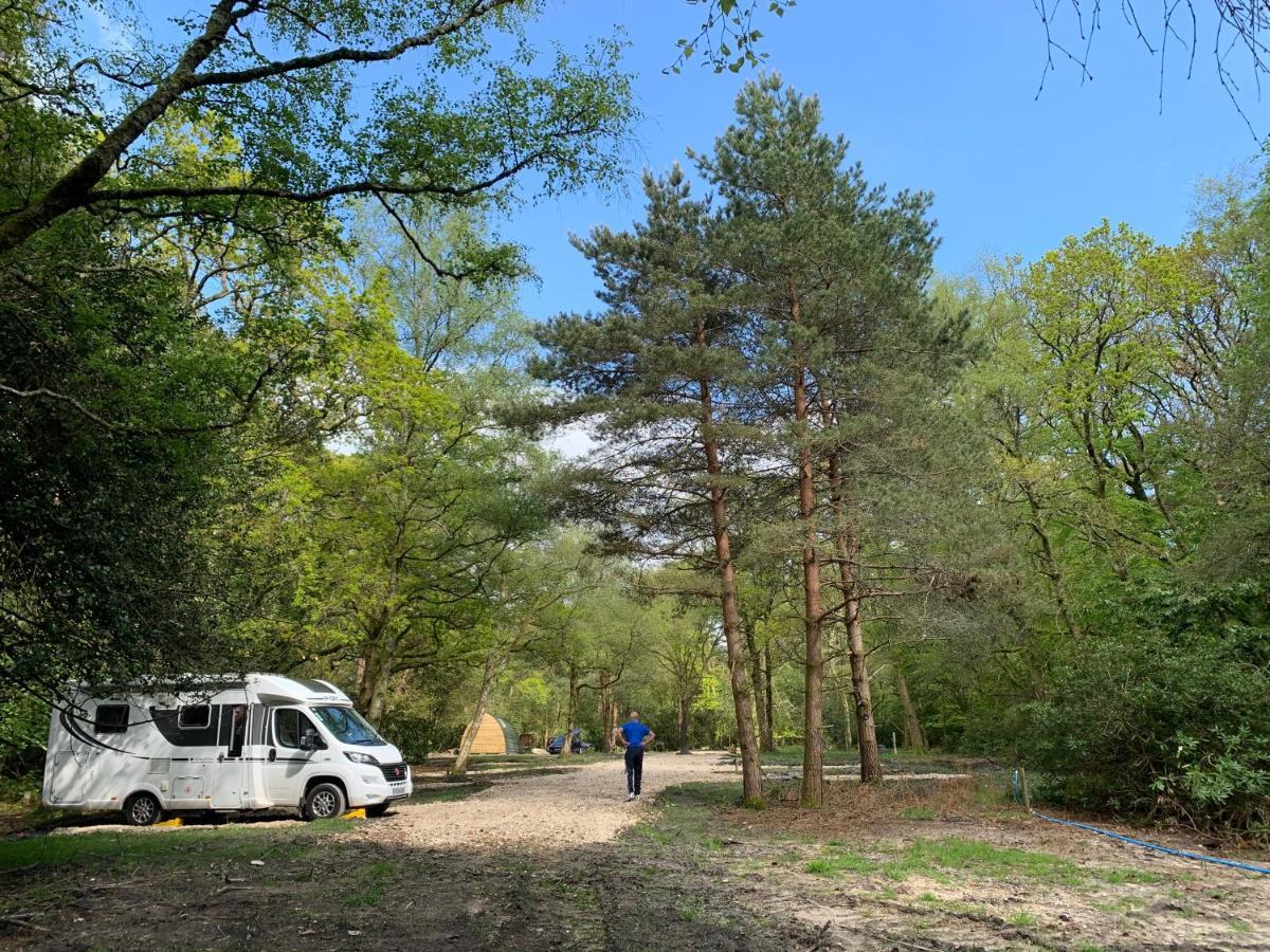 Nightjar Cabin At Cloudshill Glade Wareham Exterior foto